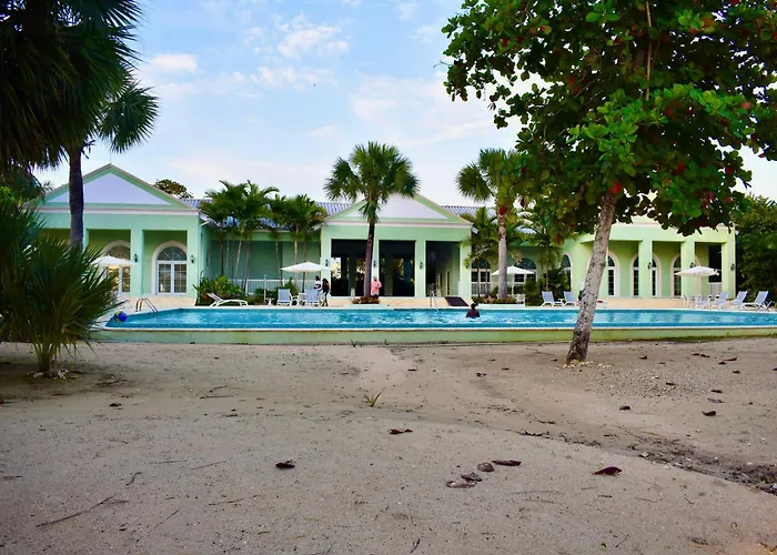 Irie Vibes Ocean View